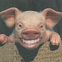 pig 286x280 - (34650 bytes)
